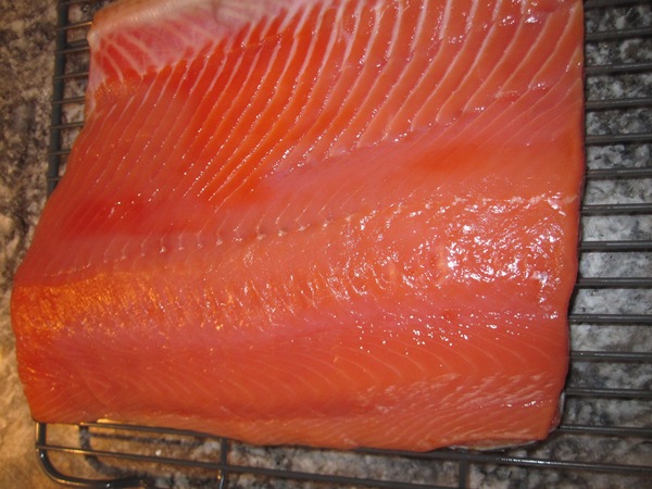 [elwha and salmon 034[7].jpg]