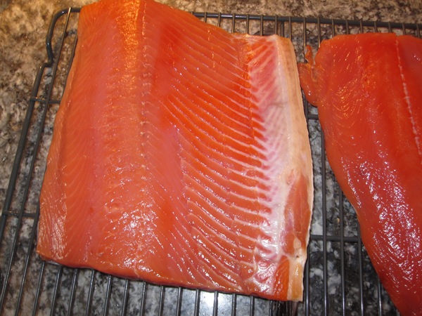 [elwhaandsalmon0323.jpg]