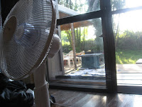 IMG_5151.JPG Photo