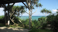 IMG_5547.JPG Photo
