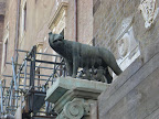 Lupa Piazza Campidoglio, lato palazzo comunale