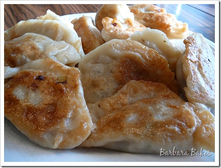 Chinese Dumplings Potstickers