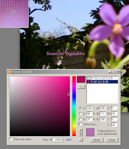 Pixeur Colour Picker from external image