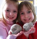 [blarney stones[3].png]