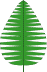 [palmcraft2.gif]