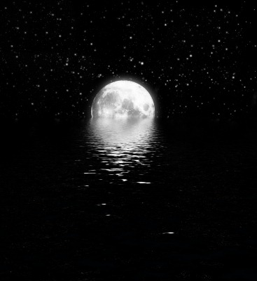 [moon night[3].jpg]