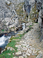 Monumento Natural Foces de El Pino