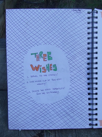 [3 Wishes[2].jpg]