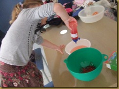 Science Day (5)