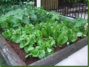 Garden 5.12.10