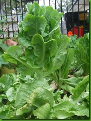 2010_06050014