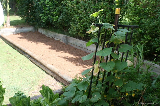 [04.01.11 Garden[8].jpg]