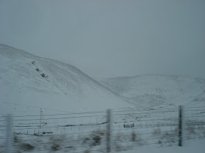 DSC04869.JPG