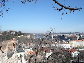 DSC05290.JPG