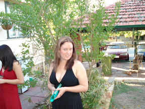 DSC00062.JPG