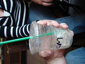 My Iced Caramel Macchiato.... Rubbish!  If I wanted a horrible iced coffee with caramel on top I'd have gone to Mcdonalds, added ice and then lept over the counter and attacked the Caramel dispenser
