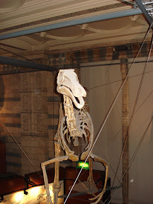 DSC02246.JPG