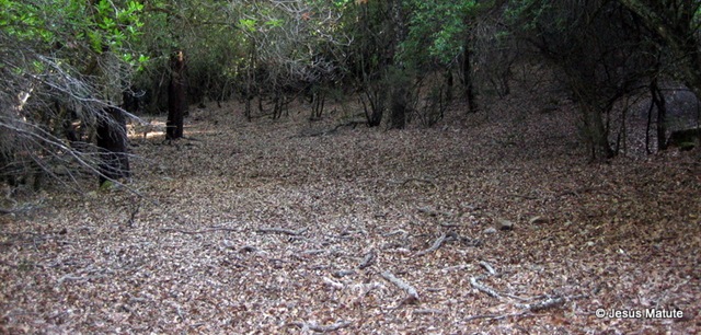 [mtbfuentedelosarrieros0123.jpg]
