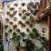 Los Patios de Córdoba