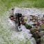 DSC_1399.JPG