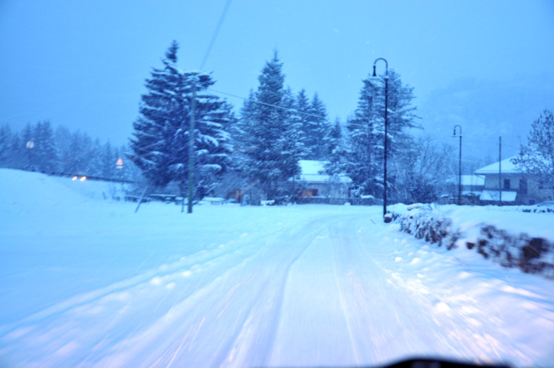 DSC_7222.jpg