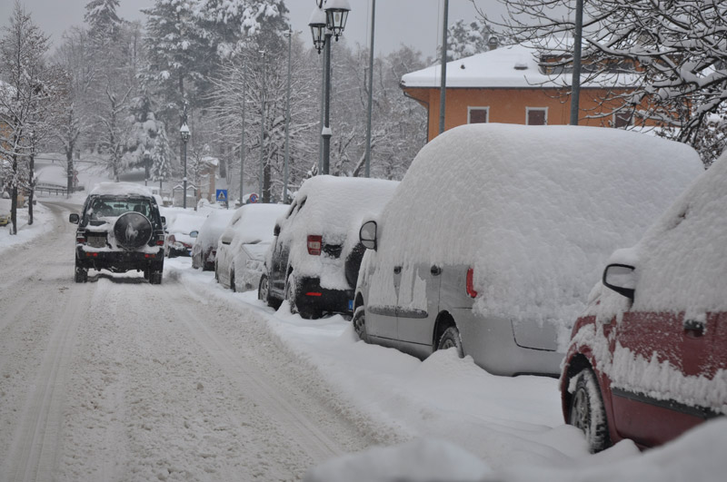 DSC_7247.jpg DSC_7247.jpg