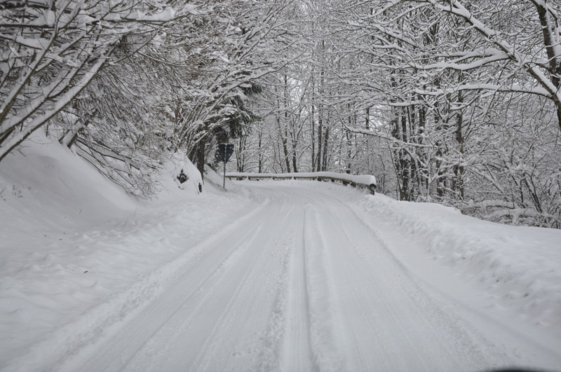 DSC_7277.jpg DSC_7277.jpg