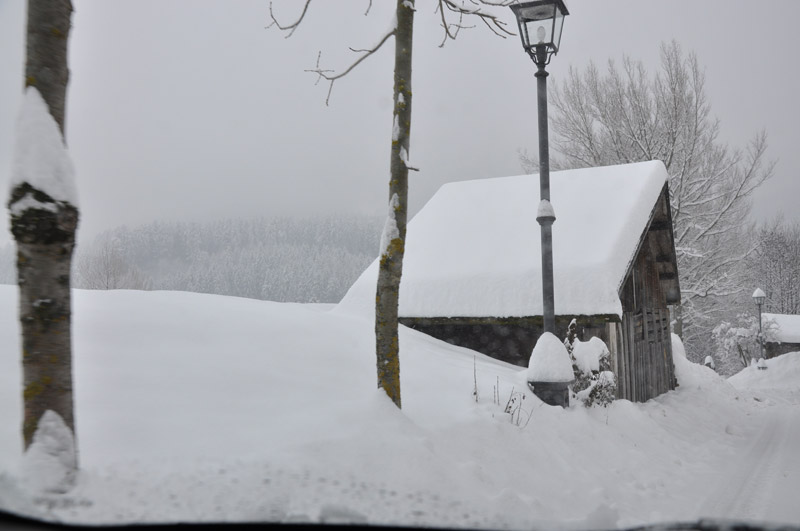 DSC_7260.jpg DSC_7260.jpg