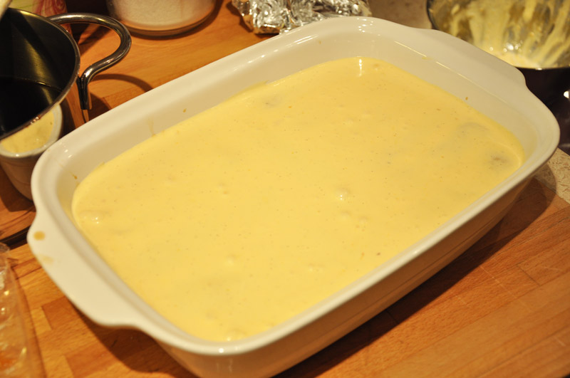 DSC_6005.jpg DSC_6005.jpg