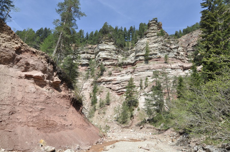 DSC_5054.JPG DSC_5054.JPG