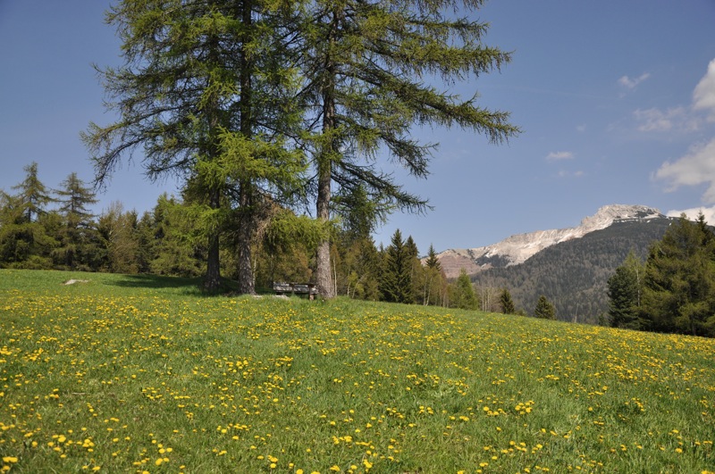 DSC_5123.JPG DSC_5123.JPG
