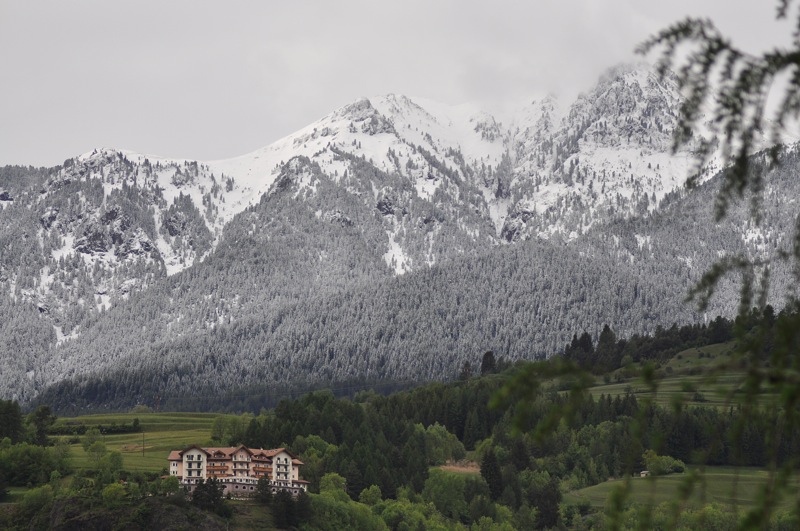 DSC_5172.jpg DSC_5172.jpg