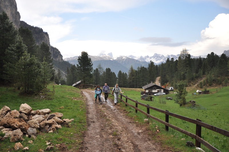 DSC_5817.JPG DSC 5817