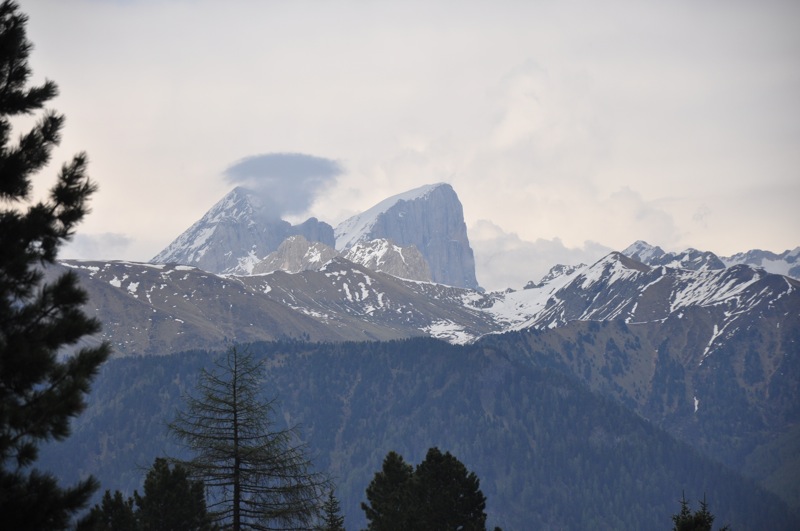 DSC_5818.JPG DSC 5818