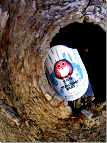 owl