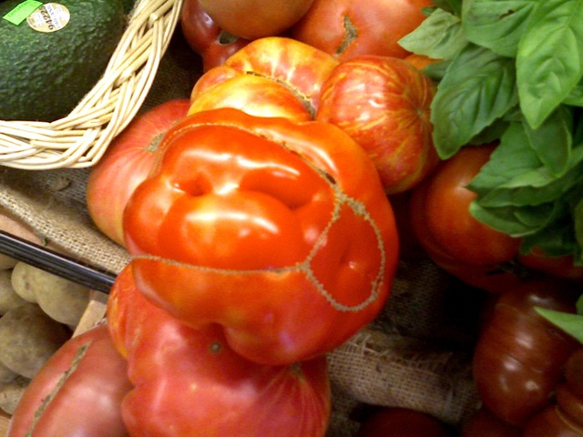 [Frankenfoods[2].jpg]