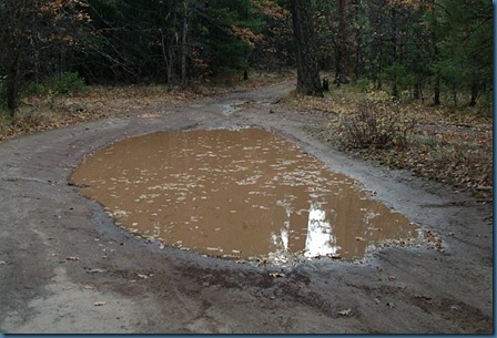 puddle01