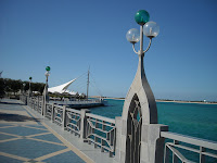 DSCN0529.JPG