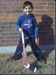 hockey sean