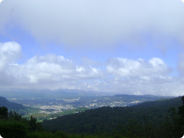DSC02314