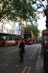 Chelsea 2010 006