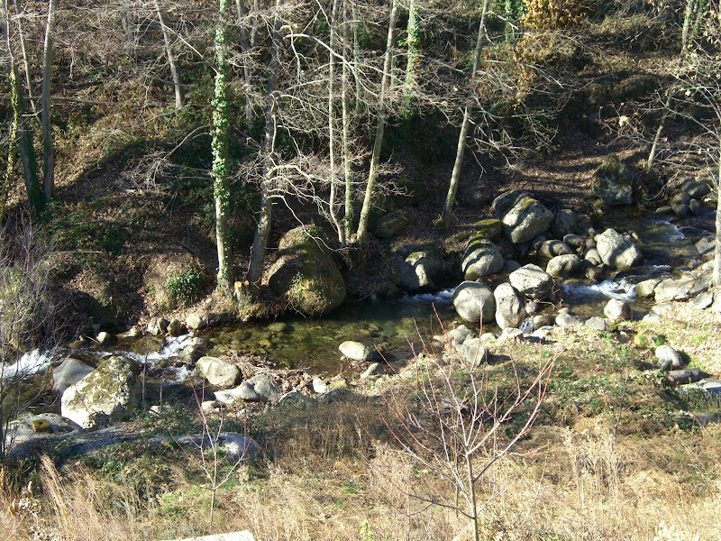 CIMG0090.JPG