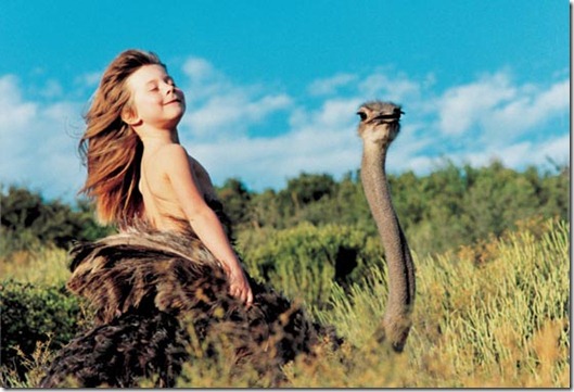 Book livro Tippi pequena garota e sua amizade com Animais selvagens  (2)