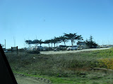 IMG_1071.JPG