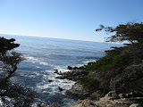 IMG_1114.JPG