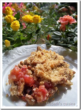 crumble pommes quetsches2 crumble pommes quetsches2