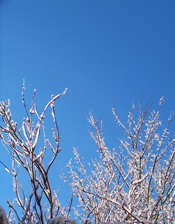 [neige et ciel bleu[8].jpg]