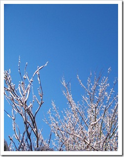 neige et ciel bleu