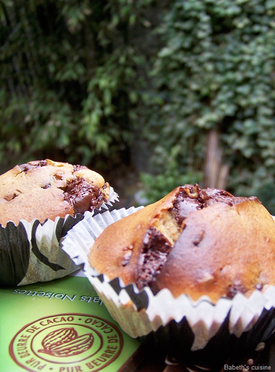 [muffins chocolat noisettes raisins secs3[7].jpg]
