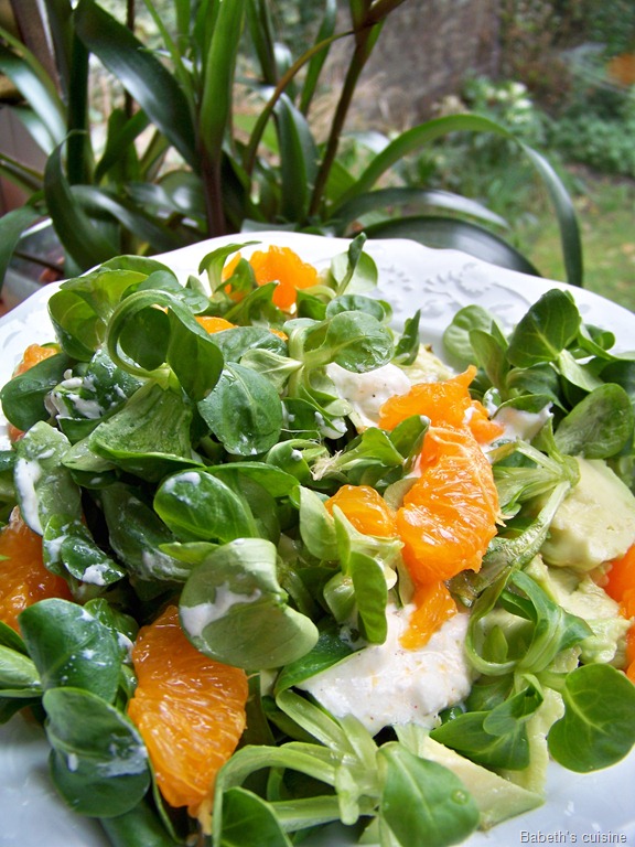 [salade vitaminée improvisée[8].jpg]